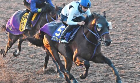 【天皇賞】エフフォーリア　迫力満点　鹿戸師「いい雰囲気」