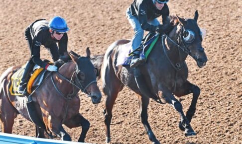 【天皇賞】グランアレグリア抜群　G1.6勝目へ　ルメール「すごくいい」