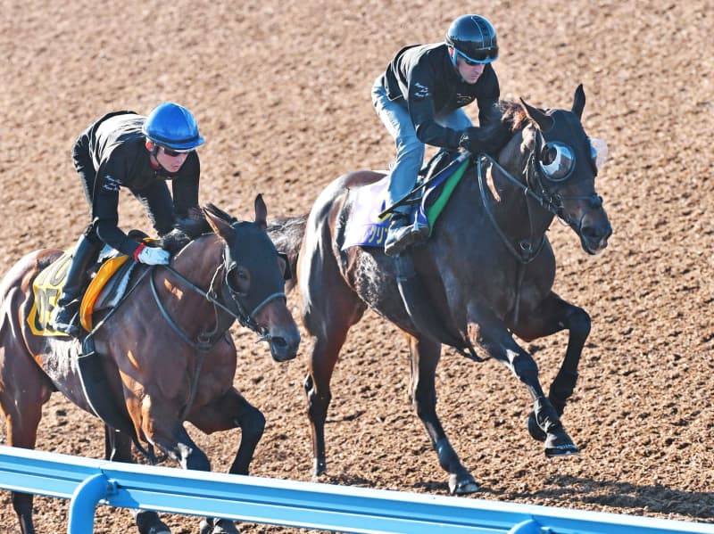 【天皇賞】グランアレグリア抜群 G1.6勝目へ ルメール「すごくいい」 【天皇賞】グランアレグリア抜群 G1.6勝目へ ルメール「すごくいい」