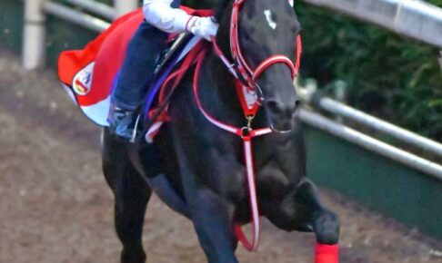 【天皇賞】最高のコントレイル　復帰初戦に向けて好気配　陣営と一問一答