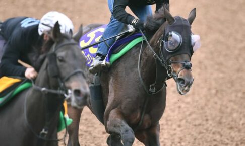 【天皇賞】グランアレグリア　心身ともに最高潮　藤沢和師＆ルメール偉業達成へ鋭伸