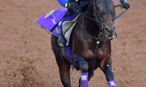 【天皇賞】ワールドプレミア　1週前から上昇　友道師「ようやく間に合った」