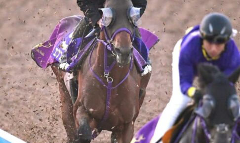 【天皇賞】エフフォーリア抜群　迫力満点の3頭併せ最先着　19年ぶり3歳馬Vなるか