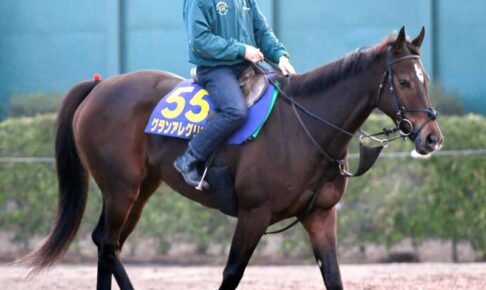 【天皇賞】グランアレグリア　偉業達成へ全力　藤沢和師「小細工なしの勝負になる」