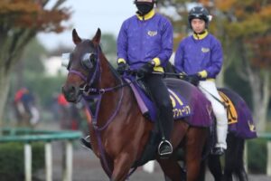 【天皇賞】エフフォーリア　仕上がり良好　鹿戸師「雰囲気いい」