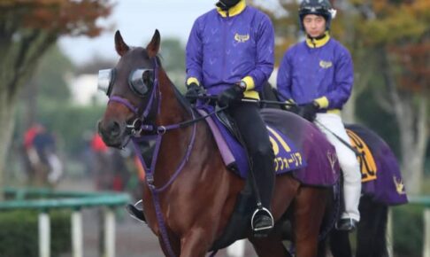 【天皇賞】エフフォーリア　仕上がり良好　鹿戸師「雰囲気いい」