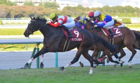 【スワンS】ダノンファンタジーが人気に応える