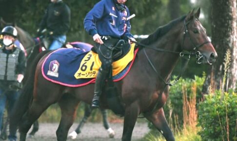 【アルゼンチン共和国杯】オーソリティ連覇へ万全　骨折休養中にフォーム修正