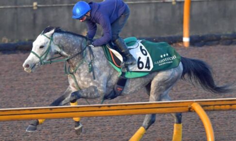 【アルゼンチン共和国杯】ゴーストひと夏越して化けた　初府中でびっくり重賞初Vだ！