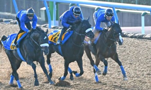 【エリザベス女王杯】アカイトリノムスメ軽快　国枝師「予定通り」