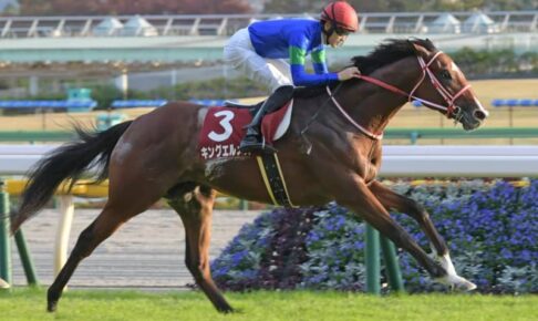 【京王杯2歳S】8番人気キングエルメスが快勝