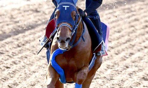 【エリザベス女王杯】ウインマリリン心配なし　アクシデントなんの！手塚師も合格点