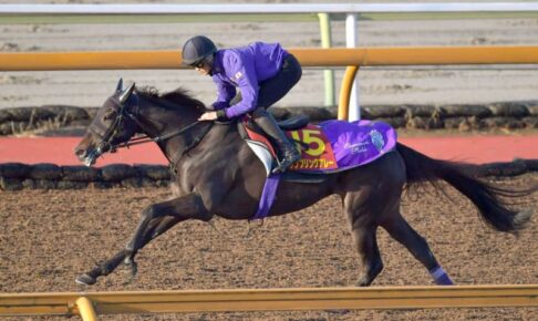 【エリザベス女王杯】ランブリングアレー態勢整った　友道師「いい動き」