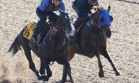 【マイルCS】サリオス 好時計マーク　ラスト鋭く1馬身先着　松山は合格点