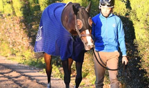 【エリザベス女王杯】アカイトリノムスメ状態上向き　「馬体重が増えているのはいいね」