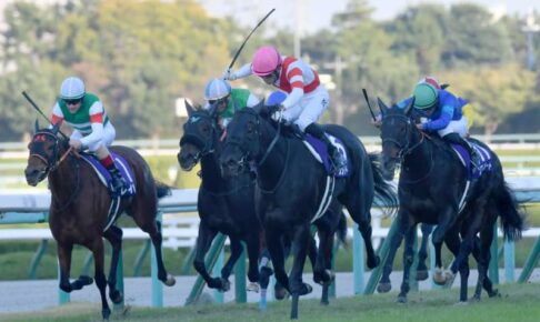 【エリザベス女王杯】10番人気アカイイトがVで大波乱を演出