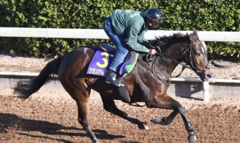 【マイルCS】グランアレグリア貫禄示す　2月末で定年の名伯楽・藤沢和師に恩返しだ