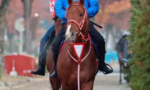 【マイルCS】ホウオウアマゾン　コントレイルにつなぐ 厩舎の勢いに後押しされ波乱呼ぶ