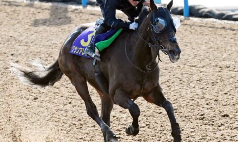 【マイルCS】グランアレグリア　引退正式決定　ラストレースに向け完熟の走り