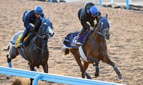 【マイルCS】シュネルマイスター　マイル王世代交代劇へ絶好リハ　陣営と一問一答