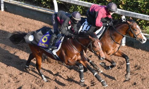 【マイルCS】グレナディアガーズは好調　得意舞台で復活へ　中内田師「楽しみ」