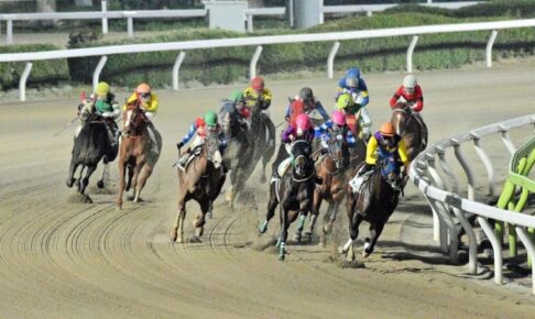 【地方競馬】大井が世界唯一の左右両回りコースへ　初の左回りはバーブルがV