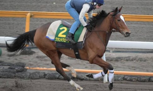 【ジャパンC】仏国馬グランドグローリー 不気味　左回り連対率100％