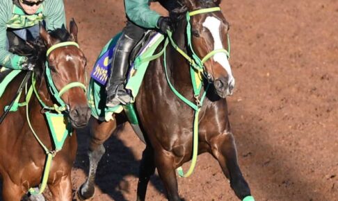 【ジャパンC】シャドウディーヴァ　馬体成長で牡馬斬りG1制覇だ