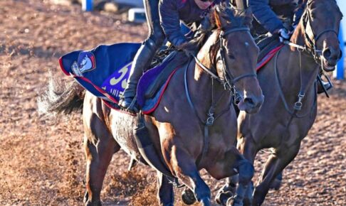 【ジャパンC】オーソリティ　中2週も余裕　木村師「いい意味でいつも通り」