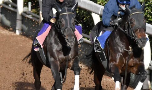 【ジャパンC】ダービー馬シャフリヤール　最強証明リハ　秋初戦のリベンジへ軽快