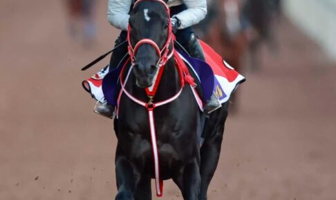 【ジャパンC】コントレイル　馬なり猛加速　福永誓った「名誉守る」陣営と一問一答