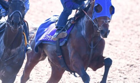 【チャンピオンズC】カフェファラオ順調　ルメールも納得「一生懸命走ってくれた」