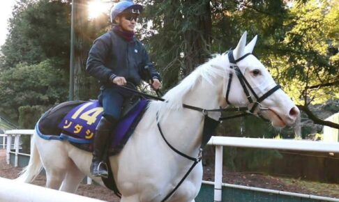 【チャンピオンズC】ソダシ　砂でも主役　ダート初挑戦G1戴冠なら史上初