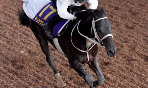 【チャンピオンズC】チュウワウィザード　王者の風格　10年ぶり2頭目連覇に挑む