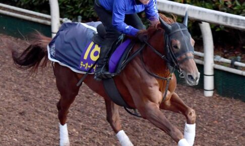 【チャンピオンズC】テーオーケインズ　帝王の脚取り　調整時計控えめも力強さ十分