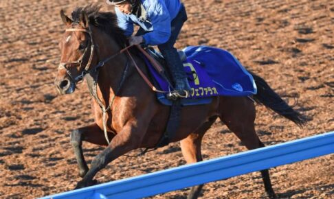 【チャンピオンズC】カフェファラオ　ブリンカー実戦初装着で好反応“変身”期待