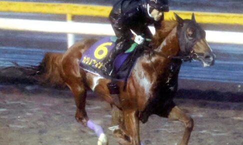 【チャンピオンズC】カジノフォンテン“JRA勢”撃破だ　山下貴師「動きが軽快」