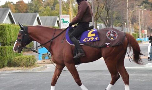 【チャンピオンズC】インティ　展開次第で番手の競馬も　野中師「何の心配もない」