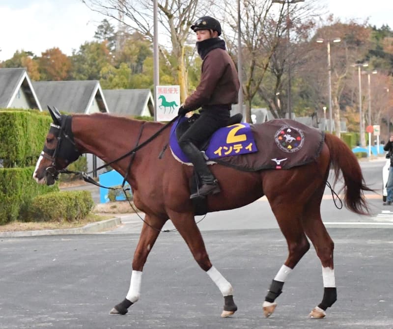 【チャンピオンズC】インティ 展開次第で番手の競馬も 野中師「何の心配もない」 【チャンピオンズC】インティ 展開次第で番手の競馬も 野中師「何の心配もない」