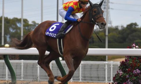 【チャンピオンズC】1番人気テーオーケインズが圧勝、白毛のソダシは12着に大敗