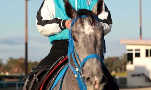 【阪神JF】リコリス 泉谷楓真がG1初騎乗初制覇狙う　10代最後に挑む大舞台