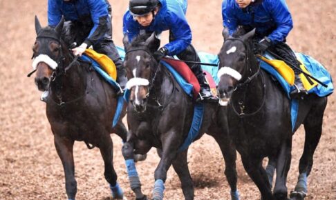 【阪神JF】素質馬サークルオブライフ　2歳女王へ視界良好　雨ニモマケズ軽快リハ