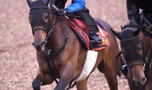 【阪神JF】ステルナティーア抜群　雨で重い美浦Wでラスト1F11秒5！ルメール高評価