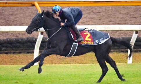 【阪神JF】ウォーターナビレラ軽快　武兄弟の“絆”で無敗2歳女王へ好ムード漂う