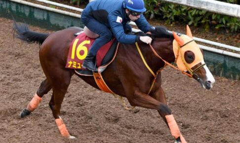 【阪神JF】ナミュール　切れ味抜群　C・デムーロ「すごくいい」