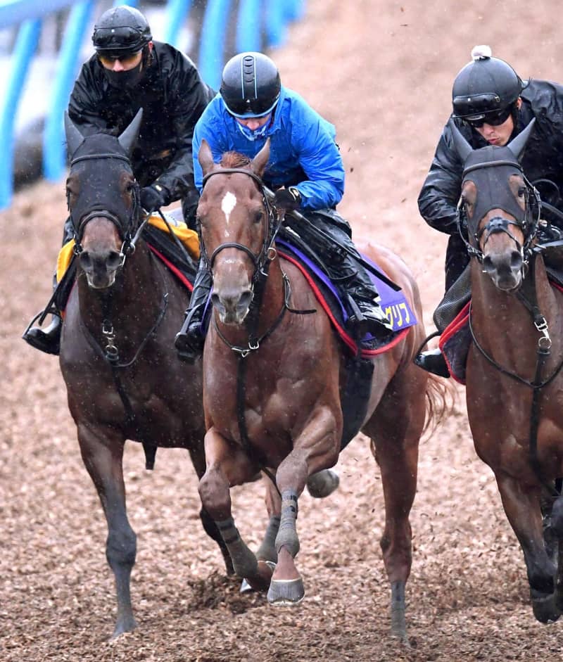 【朝日杯FS】ジオグリフ 無敗戴冠へ着実 ルメール「G1勝てるチャンスはある」 【朝日杯FS】ジオグリフ 無敗戴冠へ着実 ルメール「G1勝てるチャンスはある」