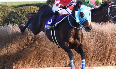 【中山大障害】オジュウチョウサンが復活V