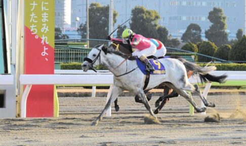 【地方競馬】東京大賞典はラストランのオメガパフュームが4連覇　今後は北海道で種牡馬入りの予定