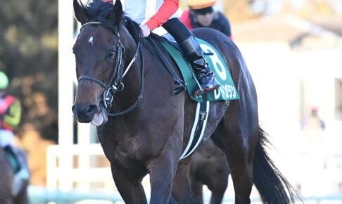 【中山金杯】4番人気レッドガランが重賞初V、安田隆師はJRA重賞50勝目