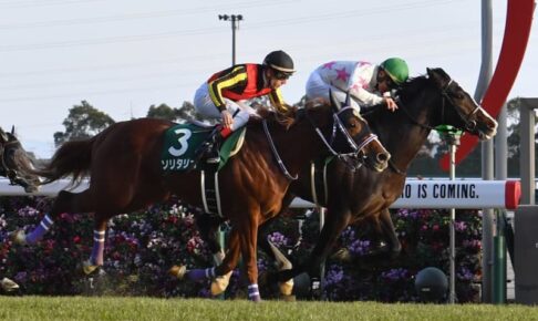 【シンザン記念】4番人気のマテンロウオリオンが重賞初V